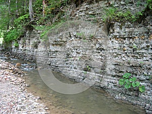 A picturesque panorama of a mountain river flowing on a steep rocky slope with layered flysch rock overgrown with trees and green