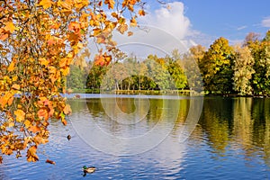 Picturesque Park in autumn in Gatchina town