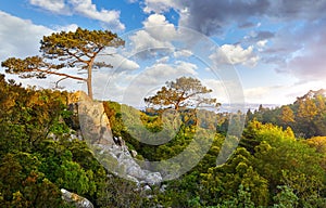 Picturesque park at knolls in Sintra Portugal