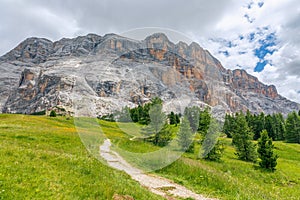 A picturesque path through an alpine meadow in the Italian Dolomites for hiking and cycling.