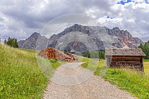 A picturesque path through an alpine meadow in the Italian Dolomites for hiking and cycling.