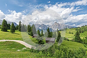 A picturesque path through an alpine meadow in the Italian Dolomites for hiking and cycling. Italian Alps