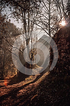 Picturesque path cut through a lush wooded area, leading to a house