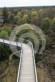 Picturesque pathway cutting through a lush, verdant forest in Berlin, Beelitz