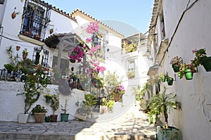 Picturesque place in Estepona