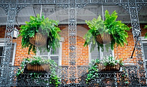 Picturesque private houses in the French Quarter. Balcony and wrought iron grating. Traditional architecture of old New Orleans