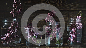 Picturesque purple spring flowers in glass vases standing in a row on a dark wooden background. Close up