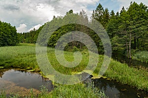 Picturesque river Rospuda, Poland