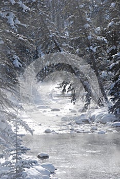 Picturesque river in Winter