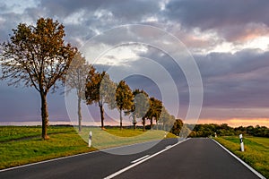 Picturesque road with a row of trees in an autumn robe in the rays of the setting sun