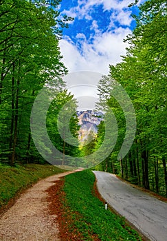 Picturesque roadway Ribcev Laz - Ukanc on the southern side of the Bohinj Lake, Slovenia