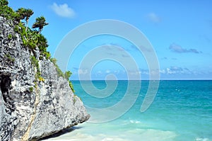 Picturesque rock covered with little palm trees