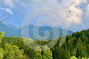 Picturesque rural green landscape with trees and fence