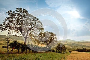 Picturesque rural landscape