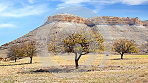 Picturesque rural landscape with hill in