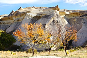 Picturesque rural landscape with hill in