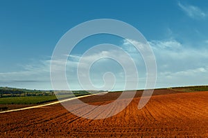 Picturesque rural landscape. Plowed field and vineyards against the blue sky