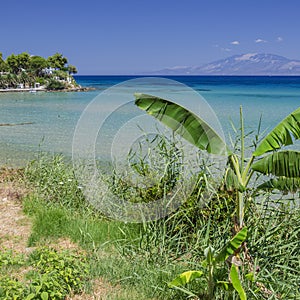 Picturesque sandy beach in village Ammoudi on the east coast of Zakynthos island, Greece.