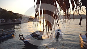 Picturesque scene of fishing boats standing near seashore at sunset. Sun shining through palm leaves. Nature background