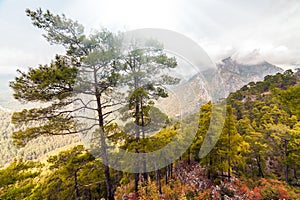 Picturesque scene in Goynuk canyon, located in District of Kemer, Antalya Province. Beautiful sunrise scenery in Turky