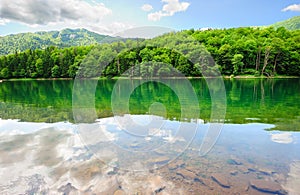 Picturesque scenery with forest lake