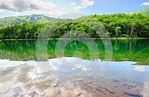 Picturesque scenery with forest lake