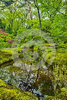 Picturesque Scenery of Japanese Garden in The Hague & x28;Den Haag& x29; in the Netherlands.