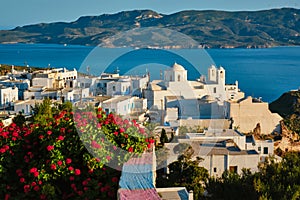 Picturesque scenic view of Greek town Plaka on Milos island over red geranium flowers