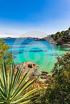 Picturesque sea view at seaside of Cala Fornells beach on Majorca island, Spain