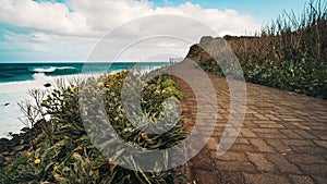 Picturesque seaside walkway on side of rocky beach surrounded by plants