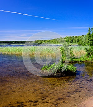 The picturesque shore of the lake