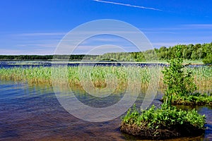 The picturesque shore of the lake