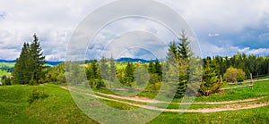 Picturesque spring Carpathians scene with wooden split rail fence across a green and lush pasture surrounded by coniferous forests