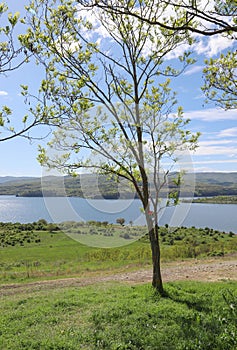Picturesque spring landscape view of Pchelina Dam in Bulgaria photo