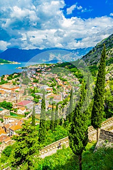 Picturesque spring nature panorama Kotor bay Montenegro