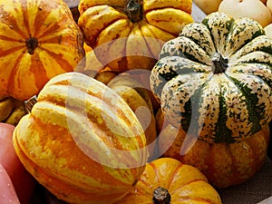 Picturesque Squash Medley.