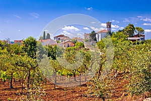 Picturesque stone village of Nova Vas in green landscape view