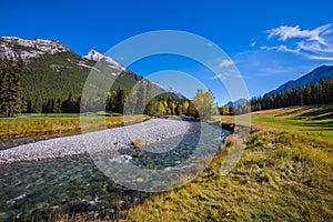 Picturesque stream with a pebbly bottom