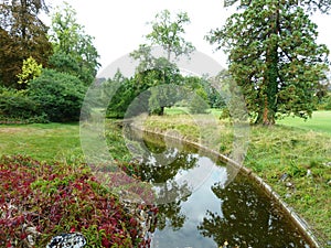 Picturesque stream with trees in the park