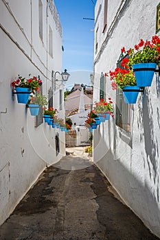 Picturesque street of Mijas with flower pots in facades. Andalusian white village. Costa del Sol. Southern Spain