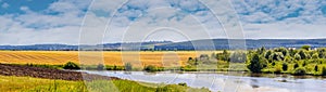 Picturesque summer landscape with river and wheat field in sunny weather, panorama