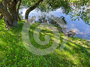 Picturesque summer landscape with tree on riverbank and reflections of blue sky in water