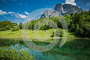 Picturesque Sunny Landscape with Clear River Water, Mountains and the Forest