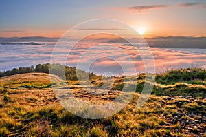 Picturesque sunrise over a sea of morning mist in the mountains. Carpathians, Ukraine