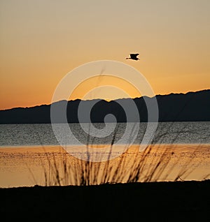 Picturesque sunset on the lake in Mongolia