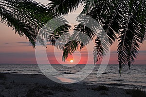 Picturesque sunset on ocean. Palm tree leaves over tropical beach