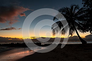 Picturesque sunset on a tropical beach in Barbados with moon and palm tree.