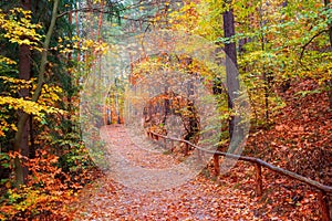 Picturesque tourist pathway in autumn forest. Saxon Switzerland National Park, Germany