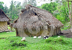 A Picturesque Tribal Wooden Hut with Ducks in front and Greenery All Around - Andaman Nicobar Islands, India