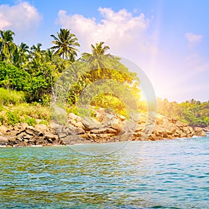 Picturesque tropical beach with palm trees on the shore and sunrise